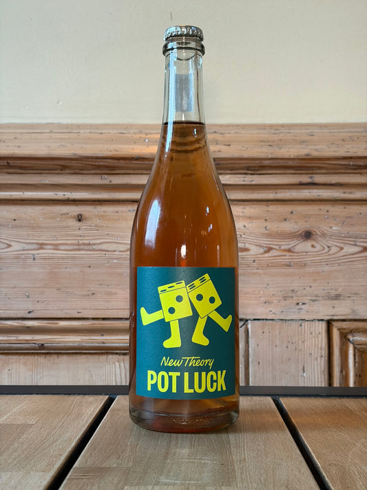New Theory Pot Luck